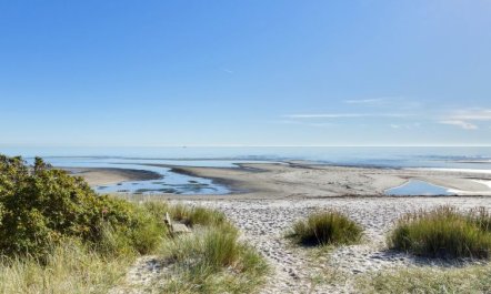 'Fay' - 25m from the sea 3