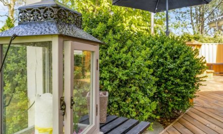 'Nico' - 1.1km from the sea 3