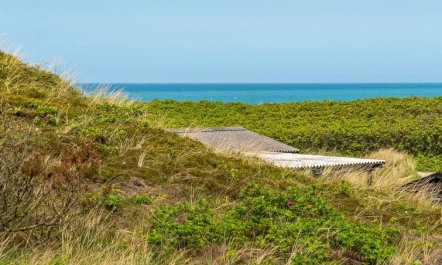 'Quirina' - 75m from the sea 5