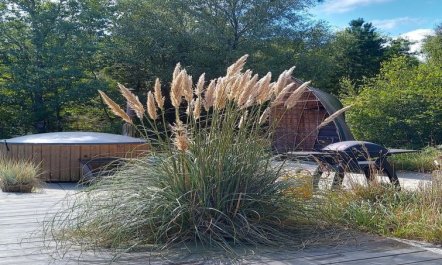 'Duco' - 780m from the sea 2