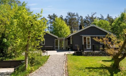 'Hunding' - 7km from the sea 4