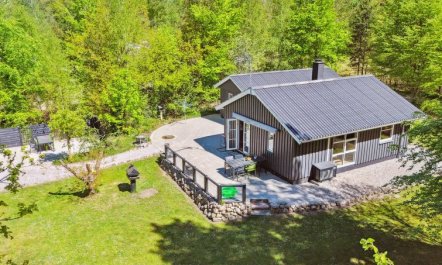 'Hunding' - 7km from the sea 3