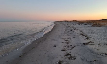 'Bodulf' - 850m from the sea 7