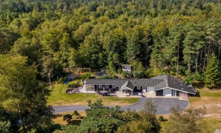 'Bodulf' - 850m from the sea 5