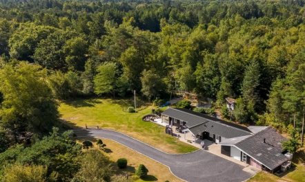 'Bodulf' - 850m from the sea 4