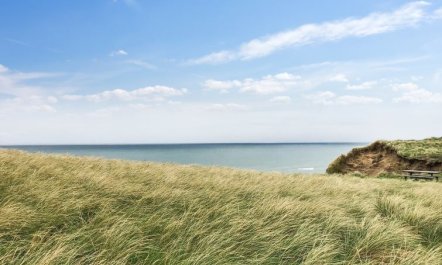 'Skyler' - 400m from the sea 5