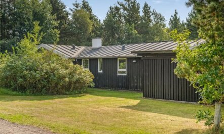 'Orvokki' - 125m from the sea 3