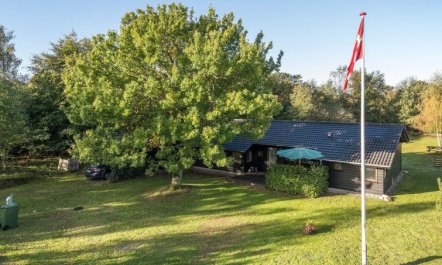 'Østmar' - 1.2km from the sea 5