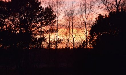 'Østmar' - 1.2km from the sea 2