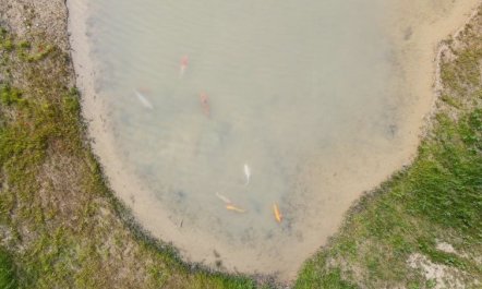 'Malinda' - 500m from the sea 7