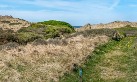 'Erko' - 150m from the sea 6