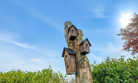 'Teija' - 300m from the sea 2