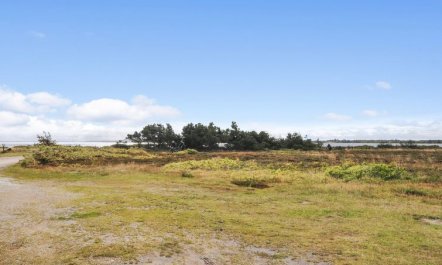 'Mirja' - 50m to the fjord 3