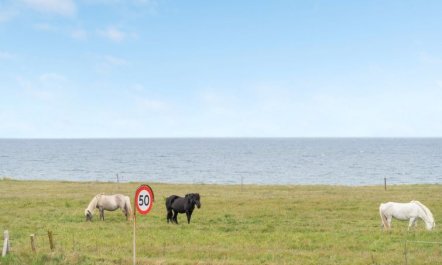 'Adrian' - 200m from the sea 7