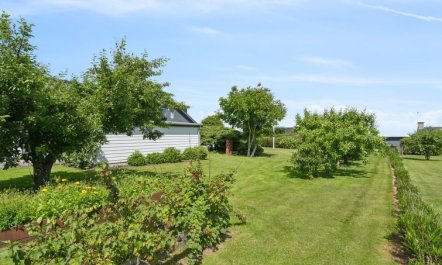 'Alona' - 90m from the sea 7