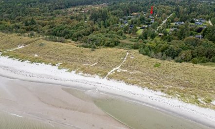 'Jaane' -  from the sea 6