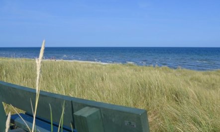 'Jaane' -  from the sea 5