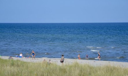 'Jaane' -  from the sea 3