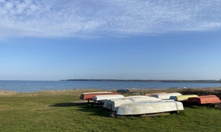 'Ovine' - 300m from the sea 6