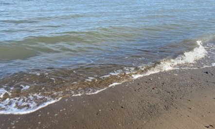 'Ovine' - 300m from the sea 5