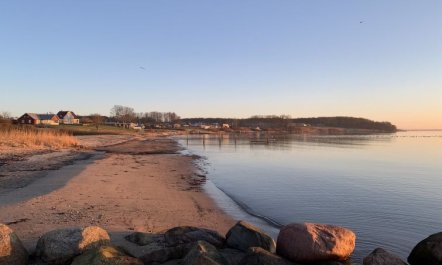 'Ovine' - 300m from the sea 4