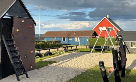 'Ovine' - 300m from the sea 2