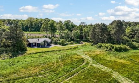 'Thorman' - 75m from the sea 2