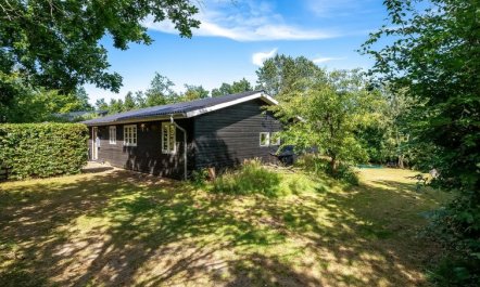 'Vitus' - 600m from the sea 1