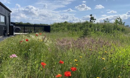 'Anelle' - 500m from the sea 2