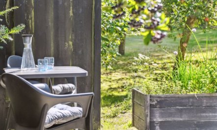 'Teodora' - 450m from the sea 6