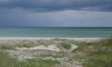 'Teodora' - 450m from the sea 5