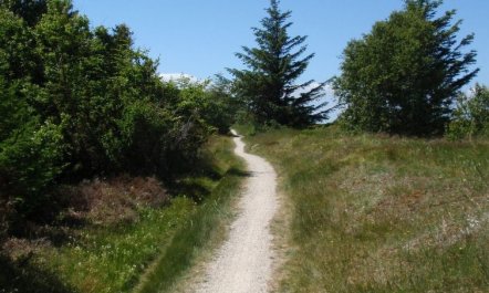 'Teodora' - 450m from the sea 3