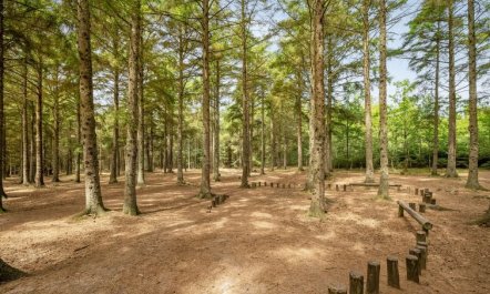 'Aurelie' -  from the sea 7