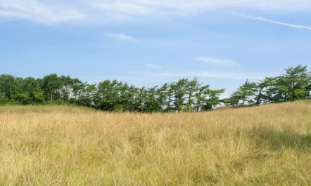 'Dorthie' - 1.7km from the sea 4