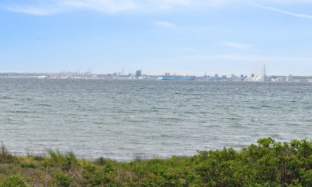 'Elspeth' - 25m from the sea 4