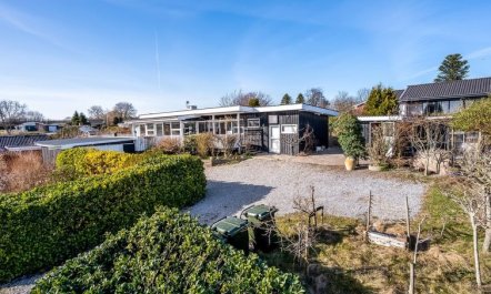 'Sylvia' - 450m from the sea