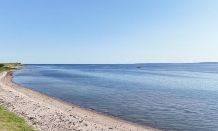 'Nille' - 30m from the sea 2