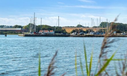 'Peetu' - 200m to the fjord 4