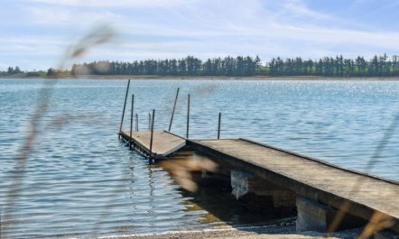 'Peetu' - 200m to the fjord 3