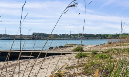 'Peetu' - 200m to the fjord 2