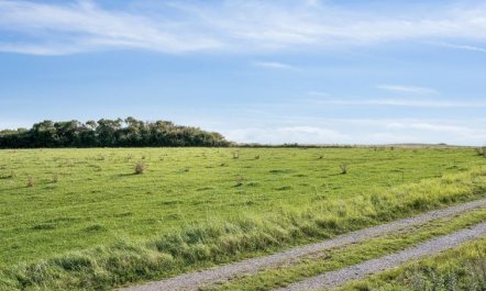 'Aatos' - 250m from the sea 2