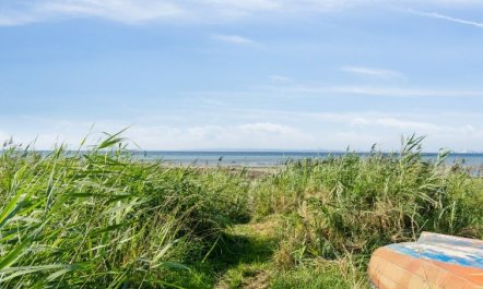 'Nilson' - 50m from the sea 4