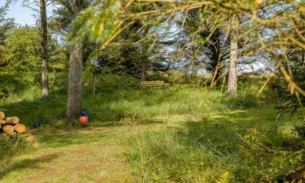 'Sunneva' - 1km from the sea 4