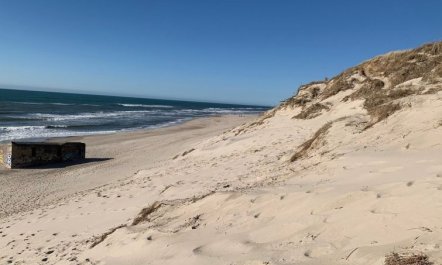 'Durita' - 600m to the fjord 3