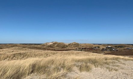 'Durita' - 600m to the fjord 5