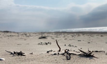 'Durita' - 600m to the fjord 6