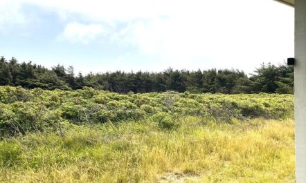 'Carelle' - 300m from the sea 4