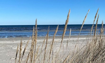 'Har' - 1.2km from the sea 2