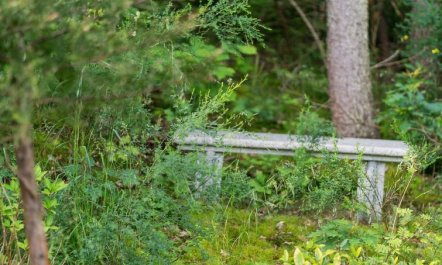 'Anthonette' - 900m from the sea 7