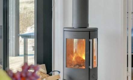 'Aiko' - 50m from the sea 1